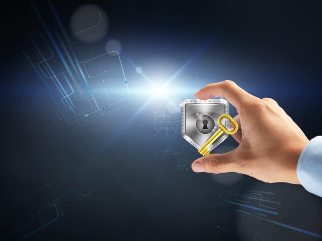 Small Business Cybersecurity Protection