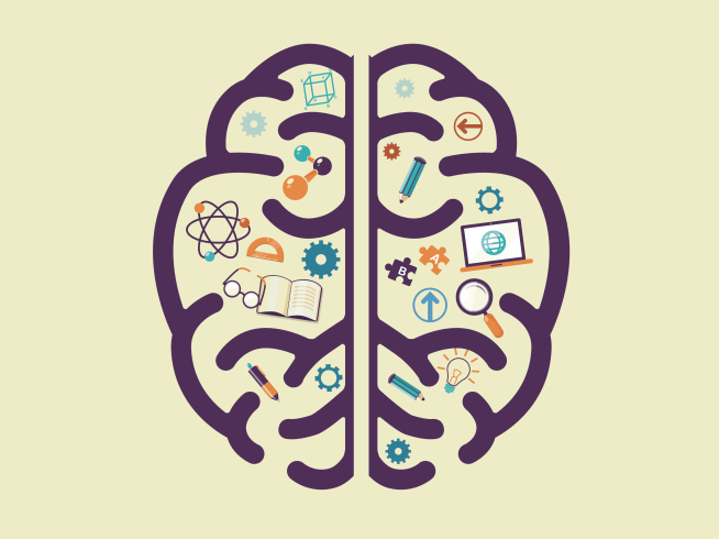 Human Brain